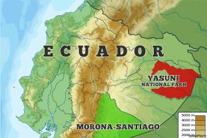 В Эквадоре проведут референдум о добыче нефти в джунглях